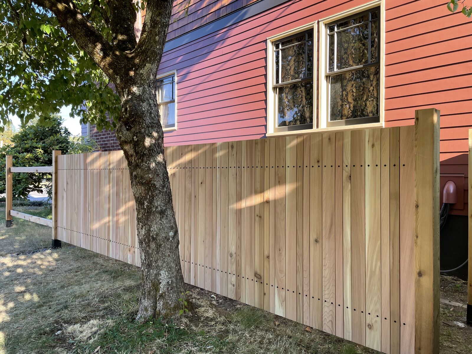 Cedar privacy fence